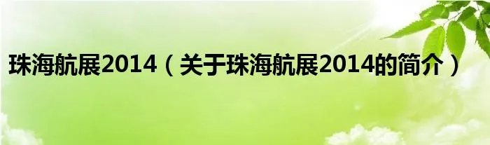 珠海航展2014（关于珠海航展2014的简介）