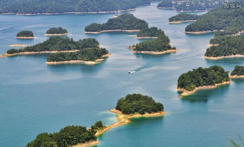 千岛湖开春第一网 第一网捕鱼5万斤被即刻送往餐馆