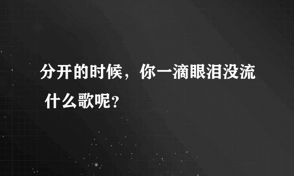 分开的时候,你一滴眼泪没流 什么歌呢?