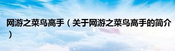 网游之菜鸟高手（关于网游之菜鸟高手的简介）