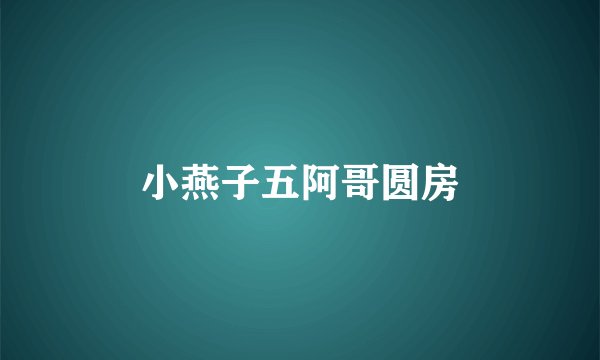小燕子五阿哥圆房