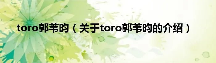 toro郭苇昀（关于toro郭苇昀的介绍）