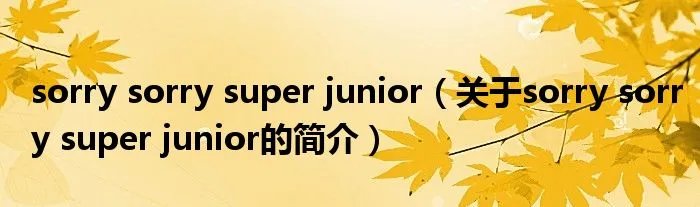 sorry sorry super junior(关于sorry sorry super junior的简介)