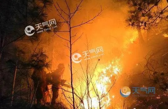 科西嘉岛森林火灾最新消息 发现20起火灾疑因变压器老化