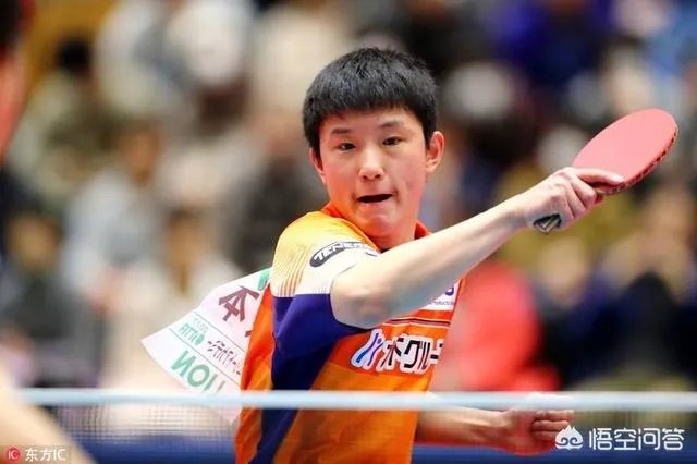 樊振东输张本智和