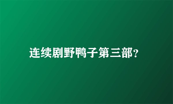 连续剧野鸭子第三部？