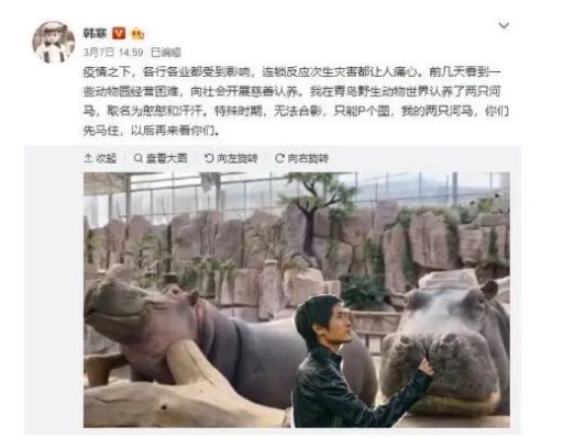 韩寒认养两头河马 河马名字太有亮点了!