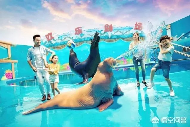 海昌不夜城有哪些项目？有适合全家玩的么？