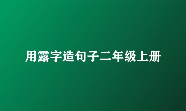 用露字造句子二年级上册