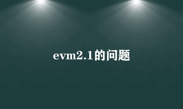 evm2.1的问题