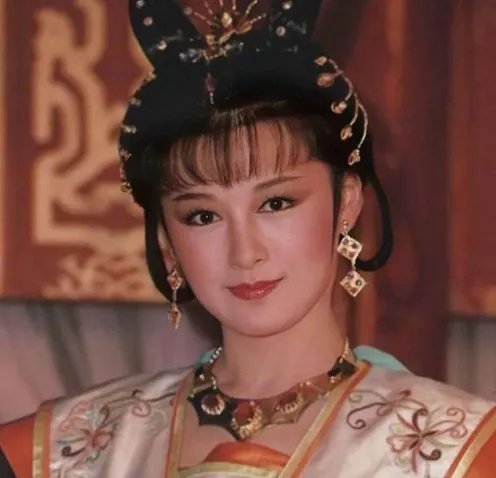 潘迎紫主演的电视剧大全