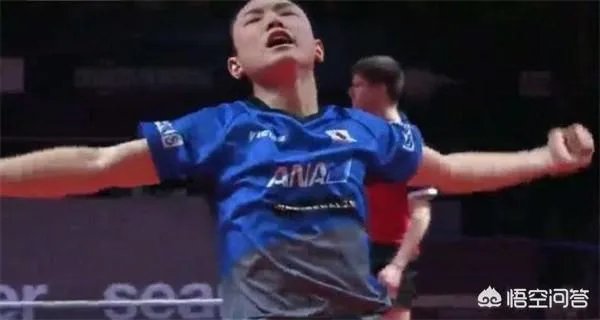 樊振东输张本智和