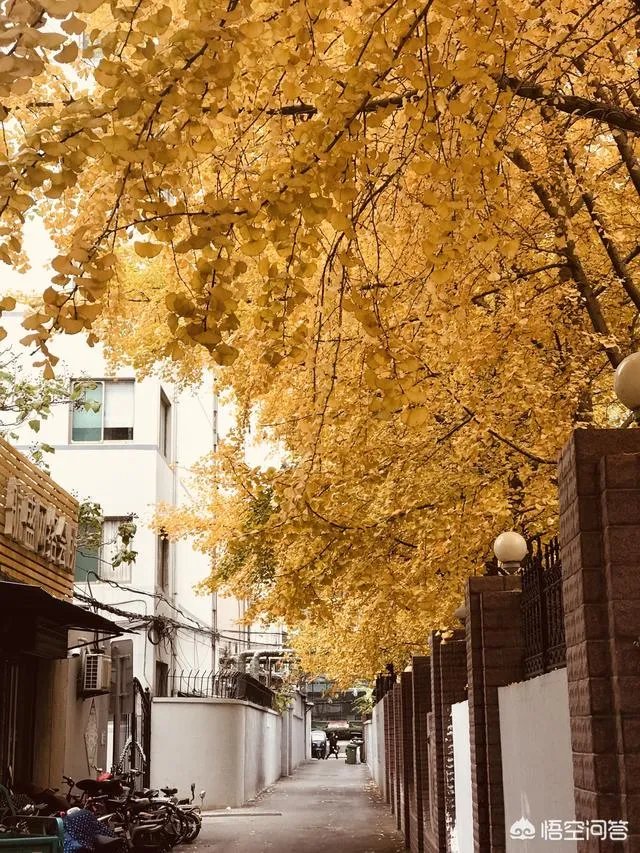 哪里的美术画室比较好？