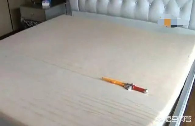 北京女演员将杭州豪宅出租，回杭后发现4万元的床被尿成了“地图”，这事你怎么看？