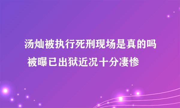 汤灿被执行死刑现场是真的吗 被曝已出狱近况十分凄惨