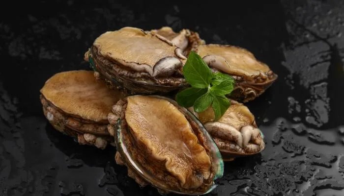 鲍鱼是鱼类吗 鲍鱼是不是鱼类的一种