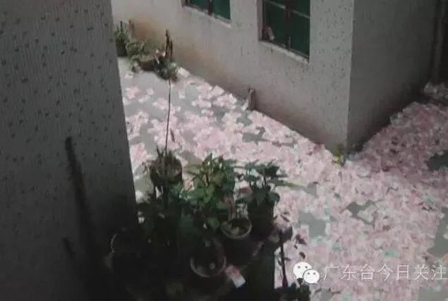 高楼坠亡洒落现金 男子因何离奇坠楼？