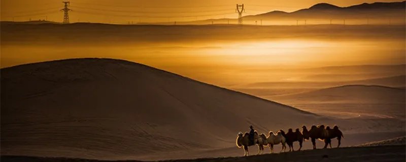 被称为死亡之海的沙漠是什么 被称为死亡之海的沙漠是什么沙漠