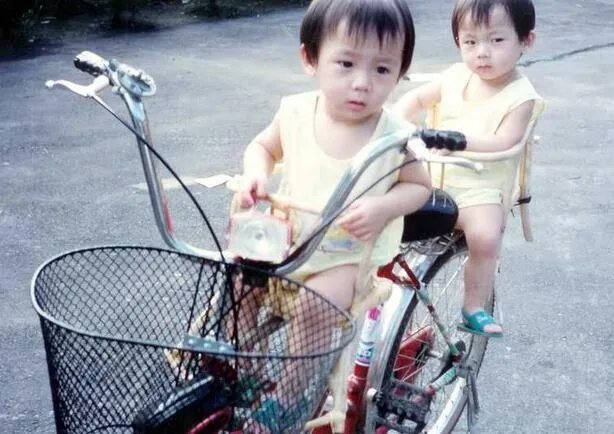 【图】张宇文张宇豪图片曝光 薰衣草双胞胎长大了!