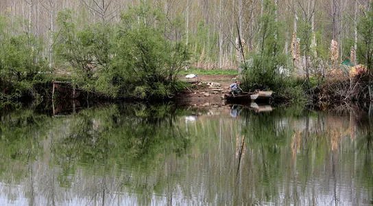 爷爷在日历上写孩子们都回来了，陪伴对老人来说有多重要？