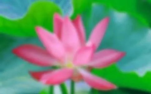 荷花淀的人物性格特点
