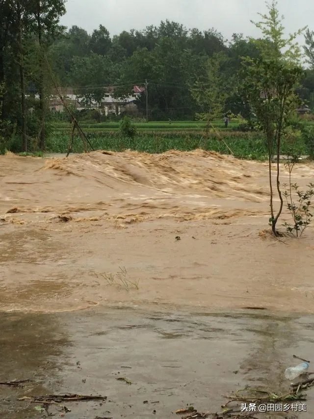 湖北省随州,今年发洪水,是不是有史以来最大的一次?