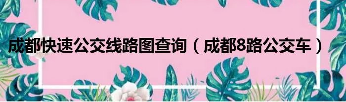 成都快速公交线路图查询(成都8路公交车)
