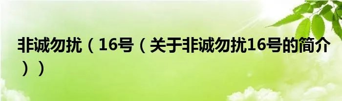 非诚勿扰（16号（关于非诚勿扰16号的简介））