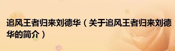 追风王者归来刘德华（关于追风王者归来刘德华的简介）