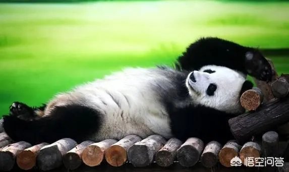 乐趣网傲视天地