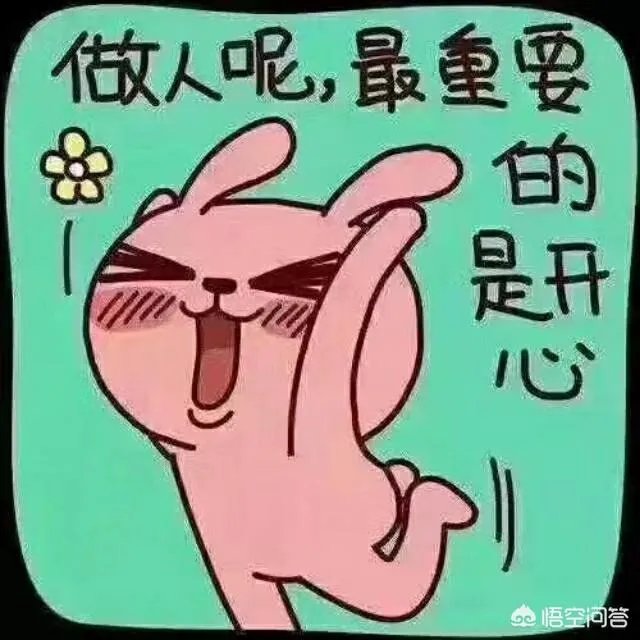 乐趣网傲视天地