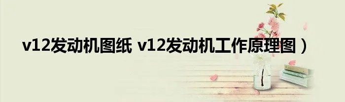 v12发动机图纸 v12发动机工作原理图)