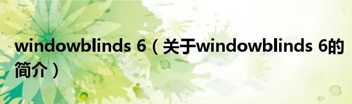 windowblinds 6（关于windowblinds 6的简介）