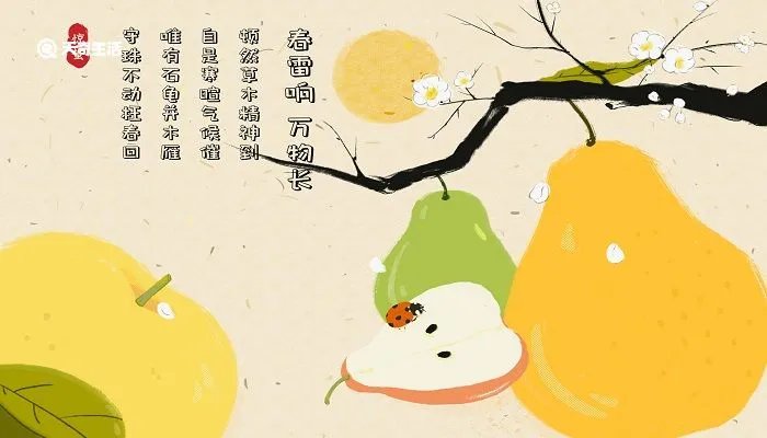 惊蛰吃梨的典故