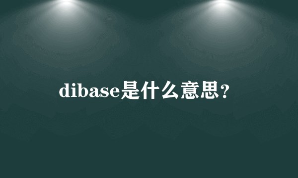 dibase是什么意思？