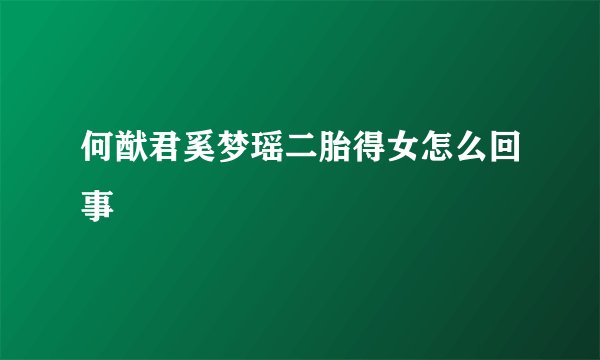 何猷君奚梦瑶二胎得女怎么回事