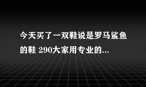 今天买了一双鞋说是罗马鲨鱼的鞋 290大家用专业的眼光帮我看看这鞋子怎么样呀