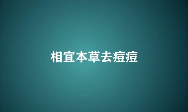 相宜本草去痘痘