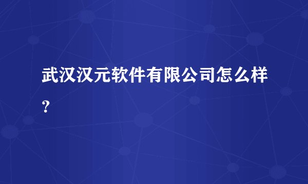 武汉汉元软件有限公司怎么样？