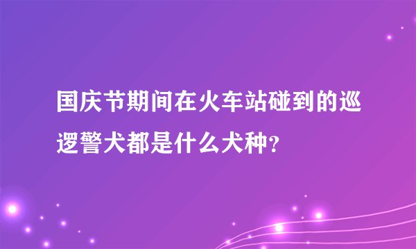 国庆节期间在火车站碰到的巡逻警犬都是什么犬种?
