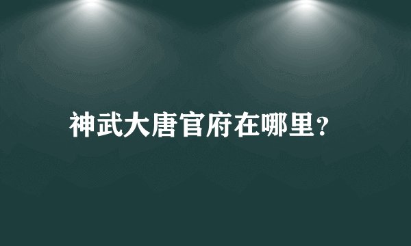 神武大唐官府在哪里？