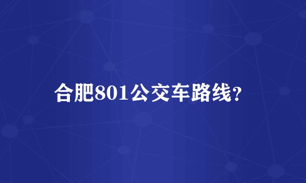 合肥801公交车路线?