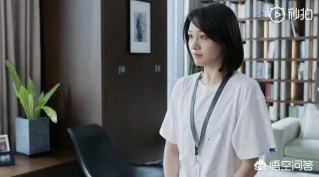 郑爽新剧《青春斗》已经定档，这部新剧都有哪些看点呢？