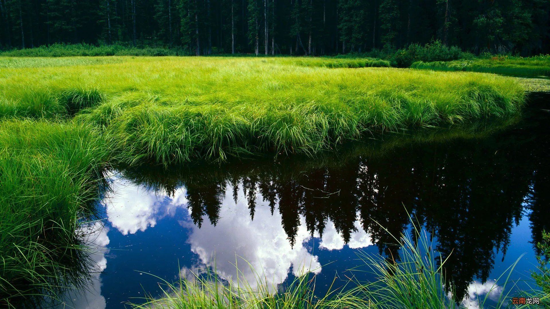 geforce 8500gt怎么样 8500gt显卡怎么样