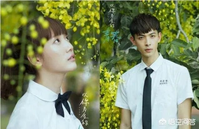 如何评价网剧《以你为名的青春》?