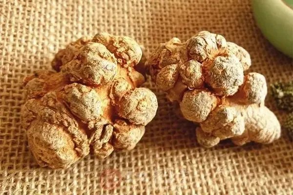 三七的功效 三七的各种养生功效大公开了