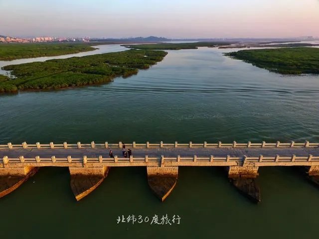 训练老鹰抓无人机有前途吗？