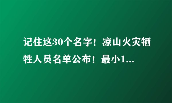记住这30个名字！凉山火灾牺牲人员名单公布！最小18岁……