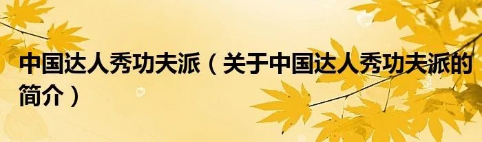 中国达人秀功夫派（关于中国达人秀功夫派的简介）