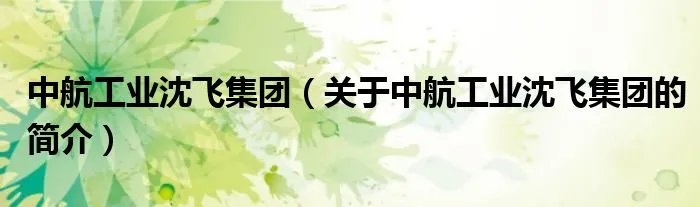 中航工业沈飞集团(关于中航工业沈飞集团的简介)